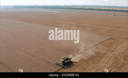 Kombinieren Sie die Ernte von Weizen auf dem Feld. Reinigung des Weizenfeldes im Sommer. Stockfoto