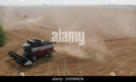 Kombinieren Sie die Ernte von Weizen auf dem Feld. Reinigung des Weizenfeldes im Sommer. Stockfoto