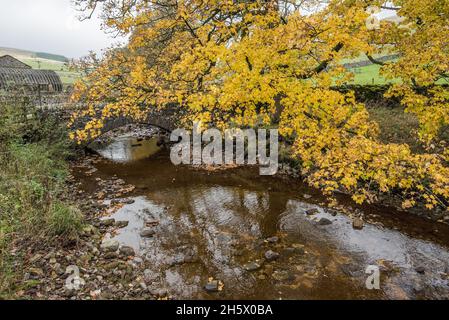 Foxup-Brücke, wo die River Skirfare beginnt. Dies liegt weiter von Halton Gill in Littondale, Yorkshire Dales National Park. Stockfoto