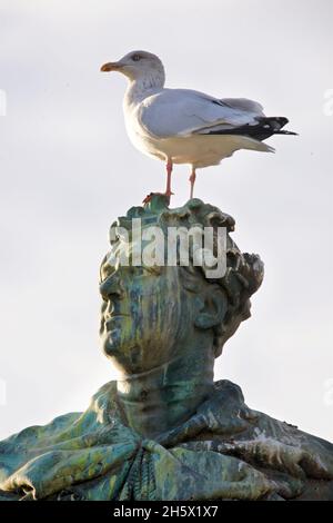 Statue des englischen Monarchen König George IV., ehemals Price Regent, mit einer Möwe auf dem Kopf. Die Bronzestatue von Sir Francis Chantry wurde 1828 enthüllt. English Heritage Legacy ID: 480510 Stockfoto