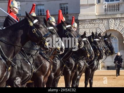 London, Großbritannien. November 2021. Mitglieder des „Household Cavalry Mounted Regiment“, die am Gedenktag bei der „Horse Guards Parade“ gesehen wurden. Der Gedenktag, auch bekannt als Waffenstillstandstag, ist ein Gedenktag zu Ehren von Mitgliedern der Streitkräfte, die im Dienst ihres Landes gestorben sind, mit mehreren Veranstaltungen in ganz Großbritannien. Kredit: SOPA Images Limited/Alamy Live Nachrichten Stockfoto