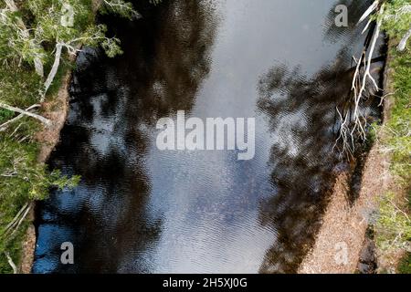 Eine niedrige Luftaufnahme der Wellen im seichten Wasser eines von Bäumen gesäumten Landbaches Stockfoto