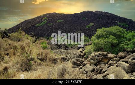 Black Mountain (Kalkajaka) National Park im Norden von Queensland der Park ist eine Masse von geheimnisvollen Granitblöcken. Stockfoto