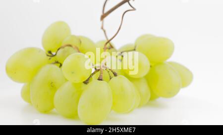 Frische Trauben rotieren auf weißem Hintergrund. Reife saftige Trauben rotieren auf einem Teller. Nahaufnahme eines Bukets weißer Trauben. Stockfoto