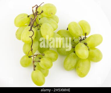 Frische Trauben rotieren auf weißem Hintergrund. Reife saftige Trauben rotieren auf einem Teller. Nahaufnahme eines Bukets weißer Trauben. Stockfoto