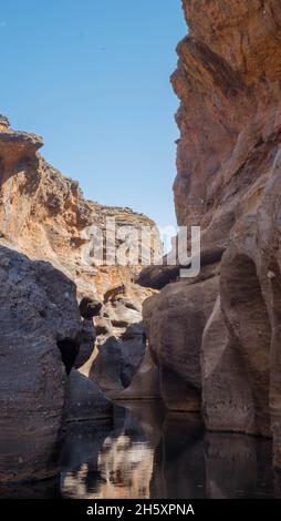 Cobbold Gorge, Queensland, Australien Stockfoto