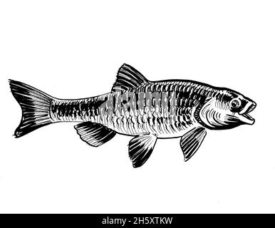 Fisch mit offenem Mund. Tinte schwarz-weiß Zeichnung Stockfoto