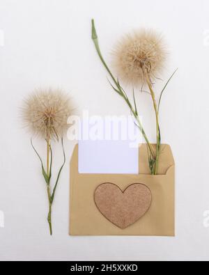 Blumenarrangements von großen flauschigen Dandelionen mit Kopierraum für Design. Stockfoto