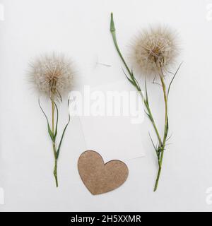 Blumenarrangements von großen flauschigen Dandelionen mit Kopierraum für Design. Stockfoto