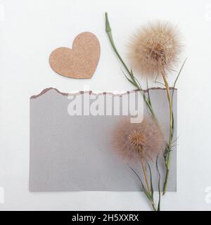 Blumenarrangements von großen flauschigen Dandelionen mit Kopierraum für Design. Stockfoto