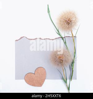 Blumenarrangements von großen flauschigen Dandelionen mit Kopierraum für Design. Stockfoto