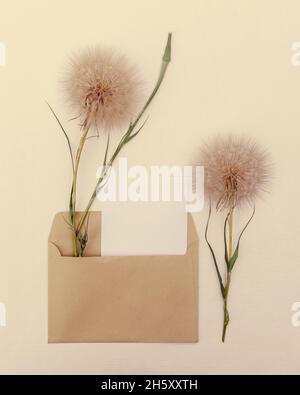 Blumenarrangements von großen flauschigen Dandelionen mit Kopierraum für Design. Stockfoto