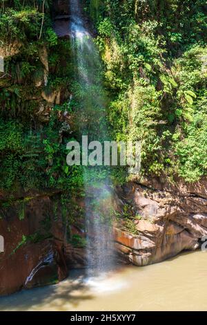 Boquerón del Padre Abad, Aguaytia, Ucayali, Perú, Südamerika. Stockfoto