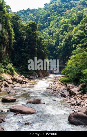 Boquerón del Padre Abad, Aguaytia, Ucayali, Perú, Südamerika. Stockfoto