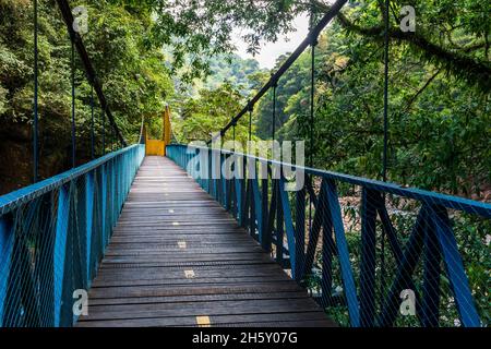 Boquerón del Padre Abad, Aguaytia, Ucayali, Perú, Südamerika. Stockfoto