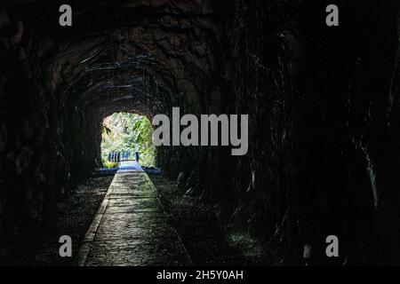 Boquerón del Padre Abad, Aguaytia, Ucayali, Perú, Südamerika. Stockfoto
