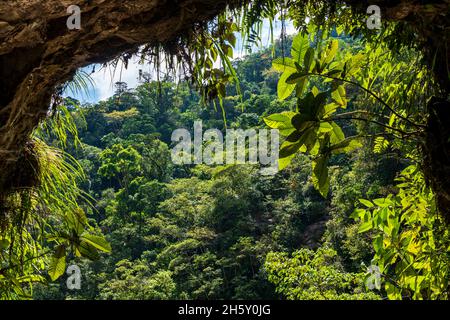 Boquerón del Padre Abad, Aguaytia, Ucayali, Perú, Südamerika. Stockfoto