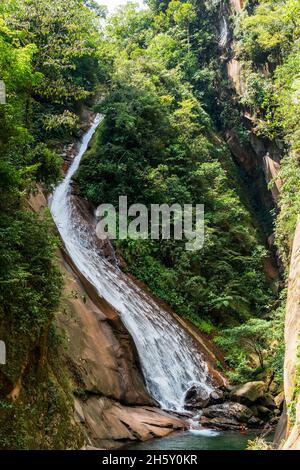 Boquerón del Padre Abad, Aguaytia, Ucayali, Perú, Südamerika. Stockfoto