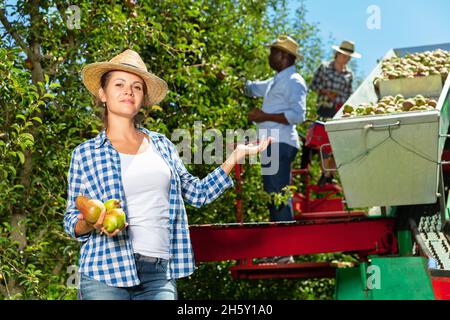 Erfolgreiche Bäuerin zeigt multinationales Team, das an einer modernen Ernteplattform im Obstgarten arbeitet und reife Birnen pflückt Stockfoto