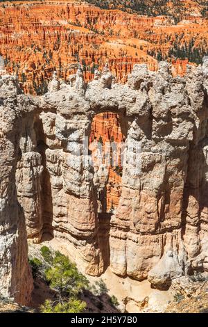 Naturfenster entlang des Rim Trail in der Nähe von bryce Point im bryce Canyon Nationalpark, utah Stockfoto