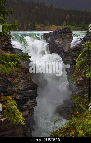 Athabasca Falls Conservation Area Jasper National Park Alberta Kanada im Sommer Stockfoto