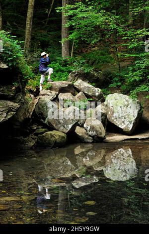 Ein Besucher beobachtet Vögel in der Nähe des Wasserpools an der Natural Bridge entlang des Lost Valley Trail, Buffalo National River (Ponca Unit), Arkansas, USA Stockfoto