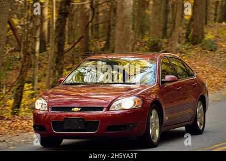 Herbstbaumstämme und Laub spiegeln sich in der Windschutzscheibe eines Touristenwagens, Great Smoky Mountains National Park, Tennessee, USA Stockfoto