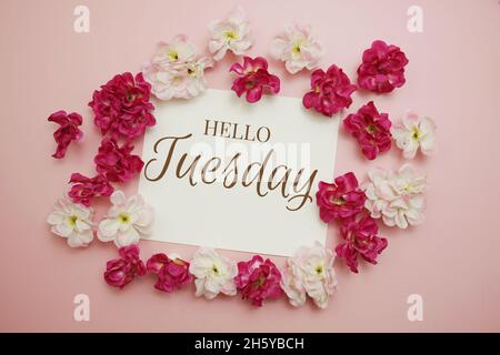 Hallo Dienstag Karte Typografie Text mit Blumenstrauß auf rosa Hintergrund Stockfoto