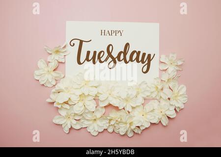 Happy Tuesday Karte Typografie Text mit Blumenstrauß auf rosa Hintergrund Stockfoto