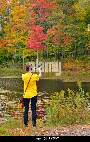 Junge Dame, die Herbstfarben fotografiert, Nobel, Ontario, Kanada Stockfoto