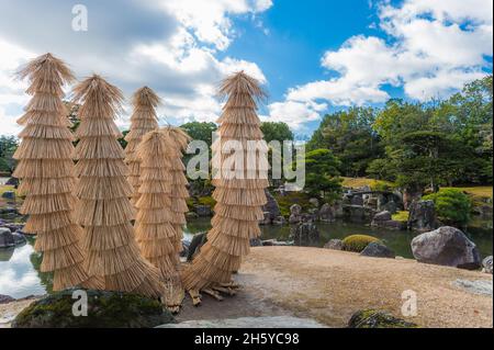 Zwei weibliche Touristen, die sich auf dem Weg, der an einem der wunderschönen, architektonisch gestalteten Gärten des Nijo Castle, Kyoto, Japan, vorbeiführt, zurück in die Vergangenheit stellen. Stockfoto