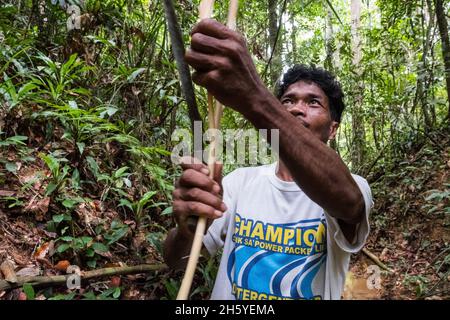 Juli 2017. Catalino Balajon erntet ratan aus dem heimischen Wald. Kayasan, Barangay Tagabinet, Palawan, Philippinen. Stockfoto