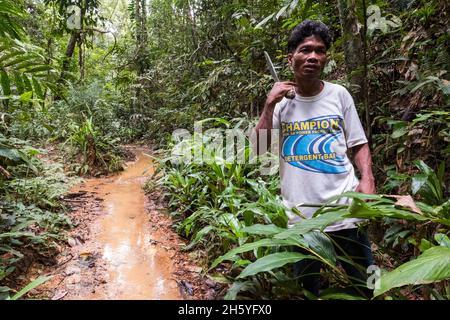 Juli 2017. Catalino Balajon erntet ratan aus dem heimischen Wald. Kayasan, Barangay Tagabinet, Palawan, Philippinen. Stockfoto