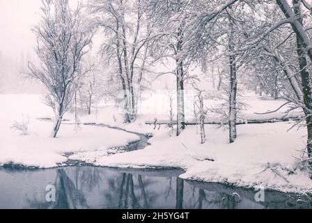 Schnee bedeckt die Bäume und die Landschaft entlang des Merced River während eines Winterschneesturms, Yosemite National Park, Kalifornien, USA. Stockfoto