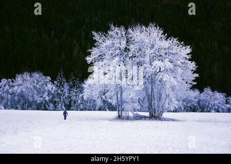 FRANKREICH, SAVOYEN ( 73 ) BOURG SAINT MAURICE, DIE NATUR IM WINTER Stockfoto