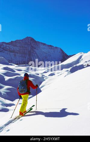 FRANKREICH, SAVOYEN ( 73 ), TOURENSKI IM NATIONALPARK VANOISE IN DEN ALPEN MIT DEM GRANDE CASSE BERG Stockfoto