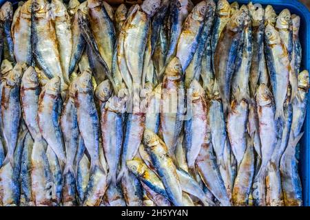 Juli 2017. Lokale Märkte sorgen für Wünsche und Bedürfnisse. Die Möglichkeit, Reis, Fisch und andere Waren zu kaufen, ist ein Hauptfaktor für den Bedarf an Bargeld und den Wunsch, an Unternehmenungsprojekten beteiligt zu werden. Puerto Princesa, Palawan, Philippinen. Stockfoto