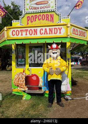 Captain Cal auf der Amador County Fair 2021 in Plymouth, Kalifornien, ca. 29. Juli 2021 Stockfoto