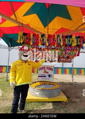 Captain Cal auf der Amador County Fair 2021 in Plymouth, Kalifornien, ca. 29. Juli 2021 Stockfoto