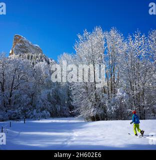 FRANKREICH, ISERE ( 38 ), SAINT MICHEL LES PORTES , TOURENSKI IN DER NÄHE DES MONT AIGUILLE IM NATURPARK VERCORS Stockfoto