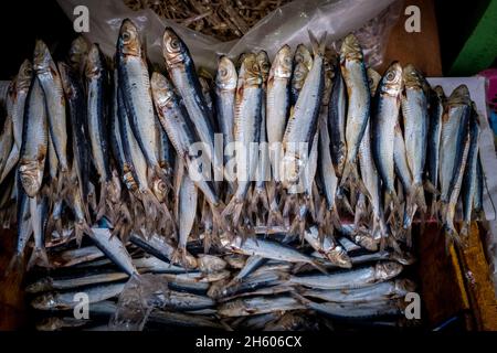 Juli 2017. Lokale Märkte sorgen für Wünsche und Bedürfnisse. Die Möglichkeit, Reis, Fisch und andere Waren zu kaufen, ist ein Hauptfaktor für den Bedarf an Bargeld und den Wunsch, an Unternehmenungsprojekten beteiligt zu werden. Puerto Princesa, Palawan, Philippinen. Stockfoto