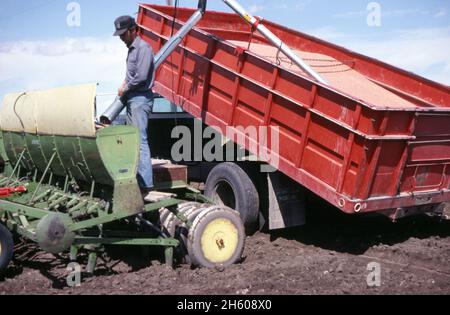 Landwirt füllt Sämaschine auf Traktor, Mai 1977 Stockfoto