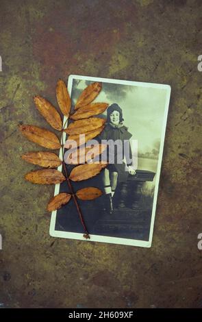 Sepia-Fotodruck im Studio von einer jungen Frau aus den 1910er Jahren und einem braunen herbstlichen Rowan-Blatt, das auf Messing liegt Stockfoto