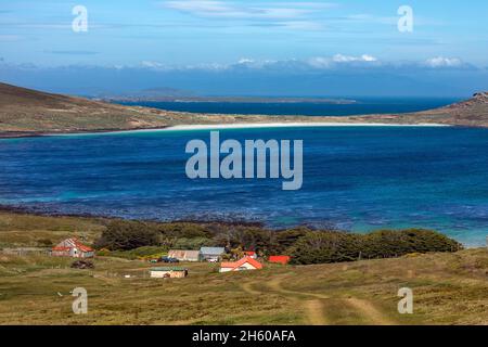 Carcass Island; Siedlung; Falklands Stockfoto