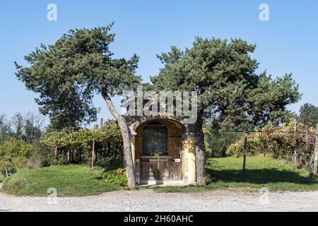 Dorf kleines Gebäude zwischen zwei symmetrischen Bäumen mit einem Hintergrund von Weinberg. Stockfoto