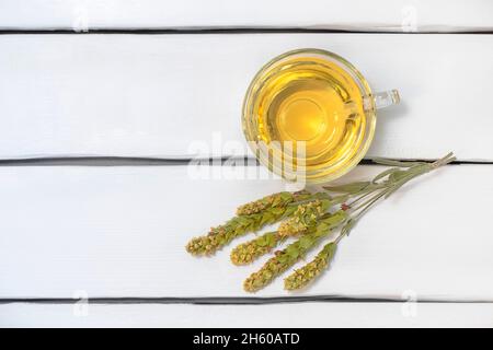 Draufsicht auf Glas Tasse Kräutertee Mursalski Chai mit getrockneten Blättern und Blumen auf weißem Holztisch, Kopierraum Stockfoto