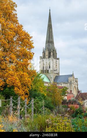 Blick auf die historische Chichester Cathedral mit Herbstfarben und Bäumen an einem bewölkten Tag in der Stadt Chichester, West Sussex, England, Großbritannien. Stockfoto