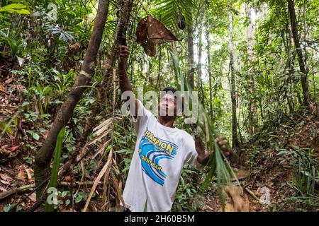 Juli 2017. Catalino Balajon erntet ratan aus dem heimischen Wald. Kayasan, Barangay Tagabinet, Palawan, Philippinen. Stockfoto