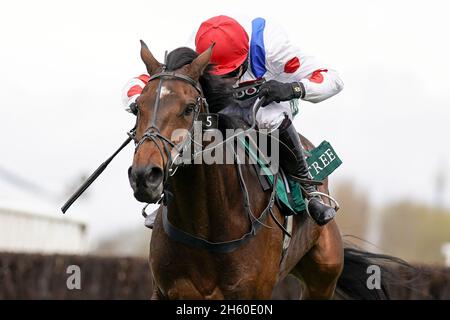 Aktenfoto vom 08-04-2021 von Protektorat, der seine Klasse auf dem Paddy Power Gold Cup in Cheltenham abstempeln soll. Ausgabedatum: Freitag, 12. November 2021. Stockfoto