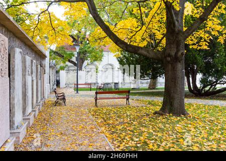 Garten der Lenck-Villa im Herbst, Sopron, Ungarn Stockfoto